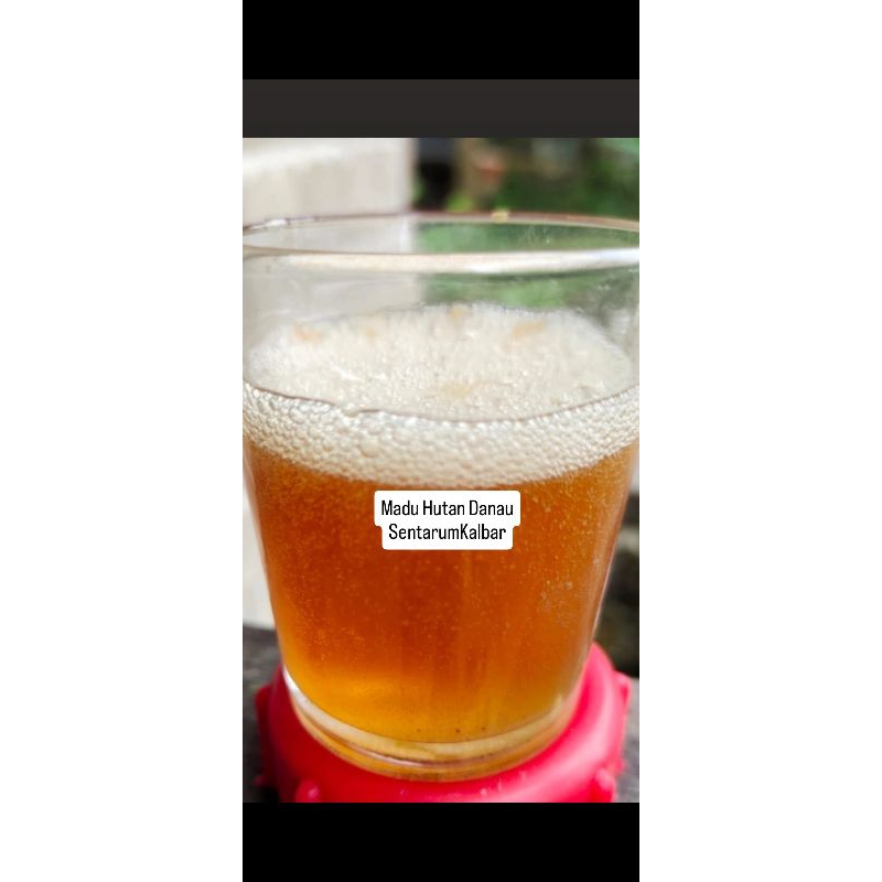 

Madu Hutan Kalimantan 1/2 kg