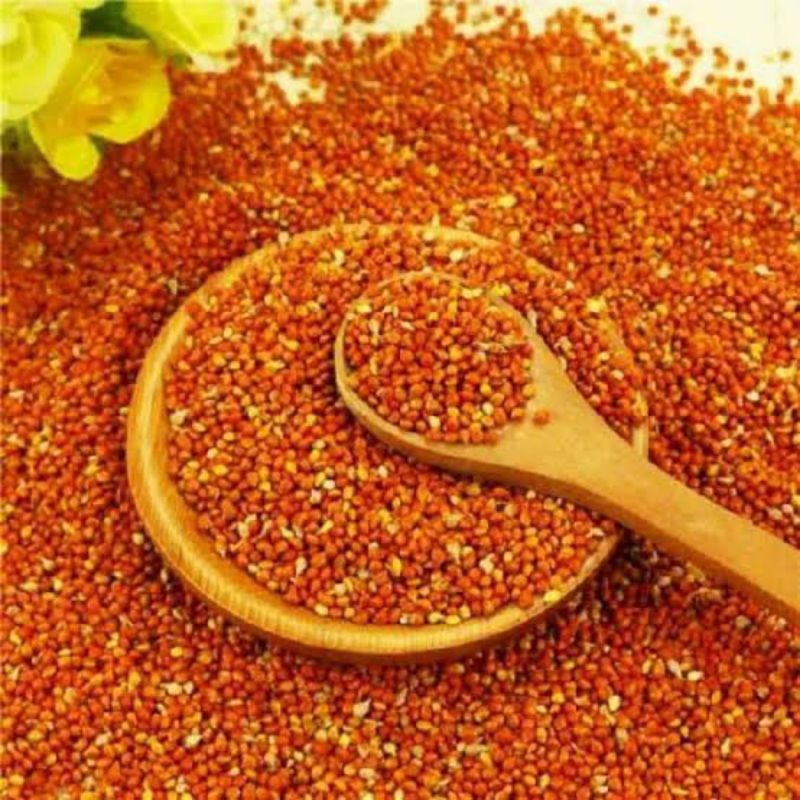 Milet Merah 500 gram/ Jewawut merah Pakan burung 500,gram/ Pakan burung milet merah/ Red milet 500 g