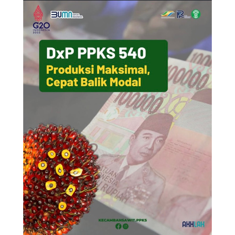 CAMBAH SAWIT PPKS DXP 540 UNGGUL BERSERTIFIKAT