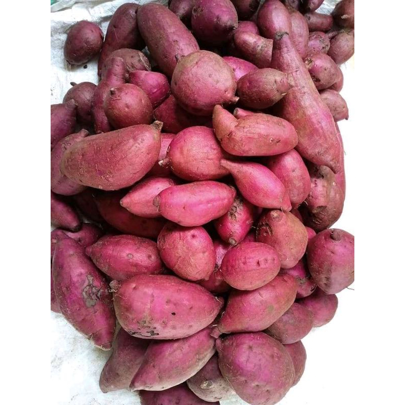 

Ubi Merah / Umbi Jalar Merah