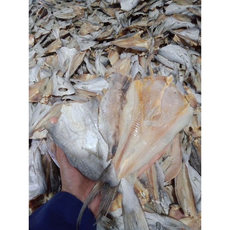 

jambal utik/jambal keting/jambal manyung belah asin kenyal super 1kg