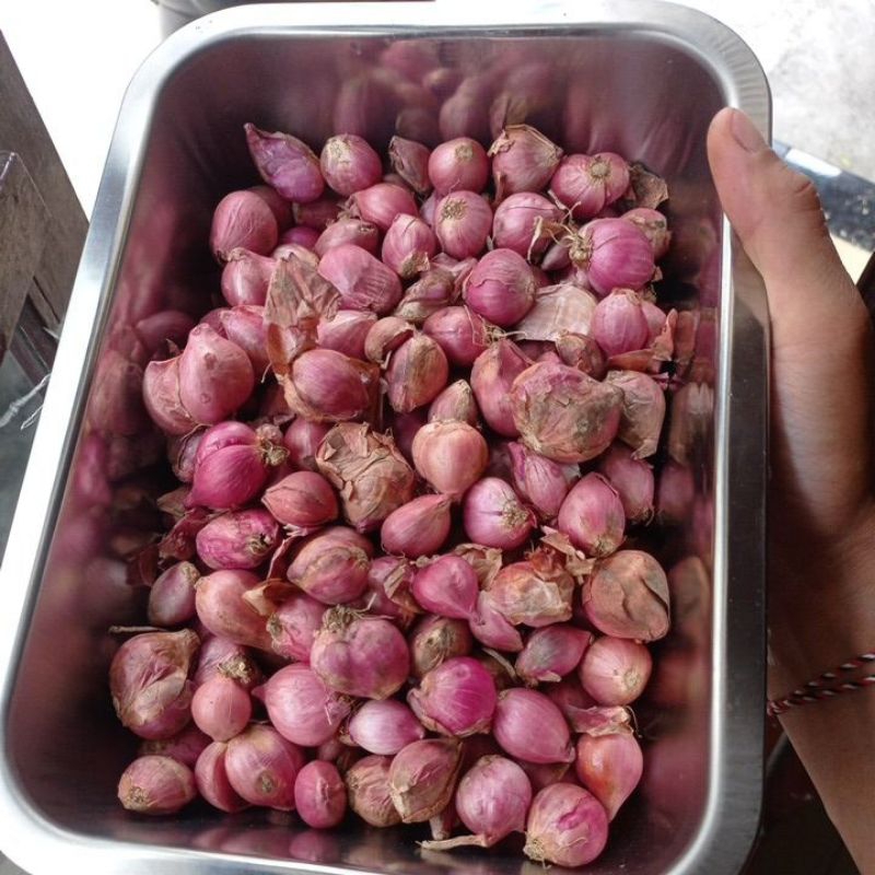 

Bawang Merah kota Batu