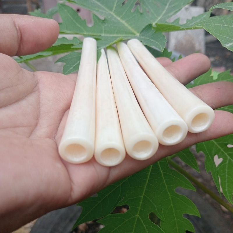 asesoris once tulang sapi impor