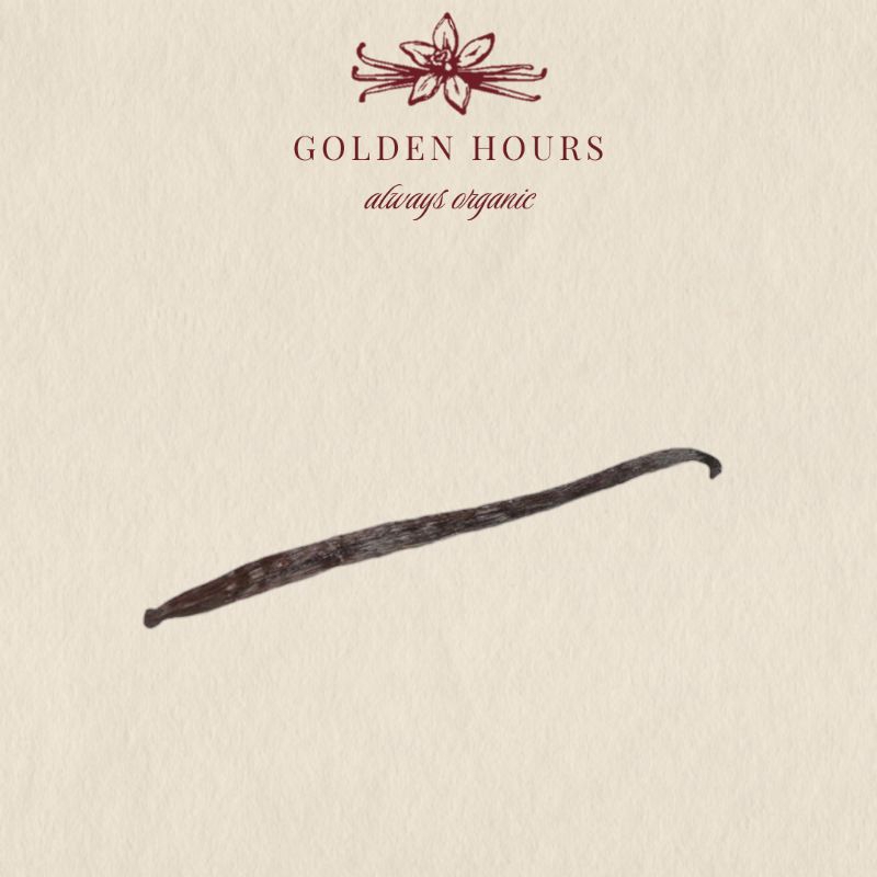 

1pod vanilla beans premium Gourmet