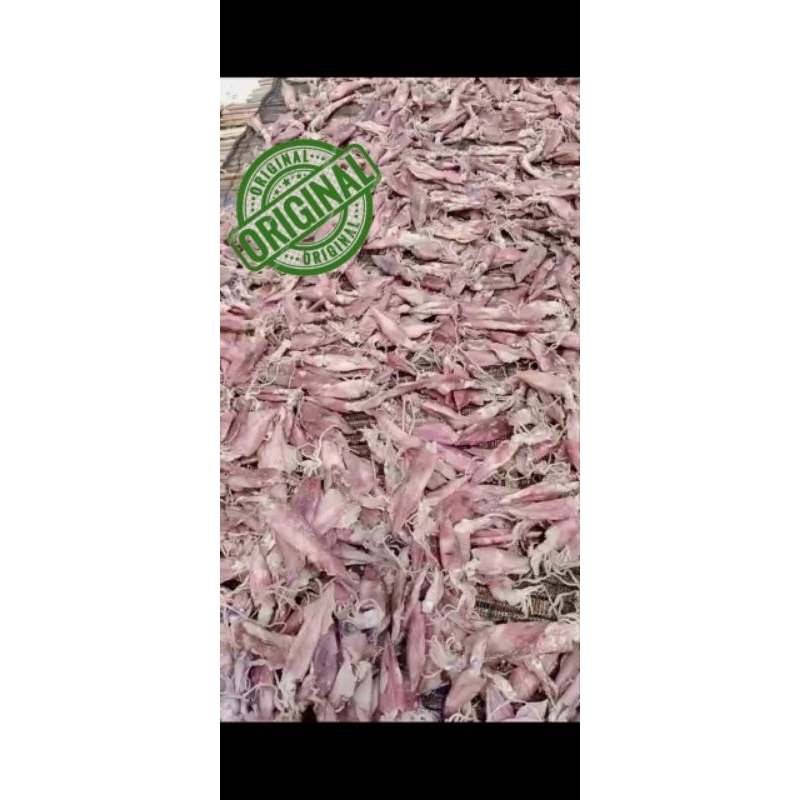 

cumi panjang asin premium original termurah