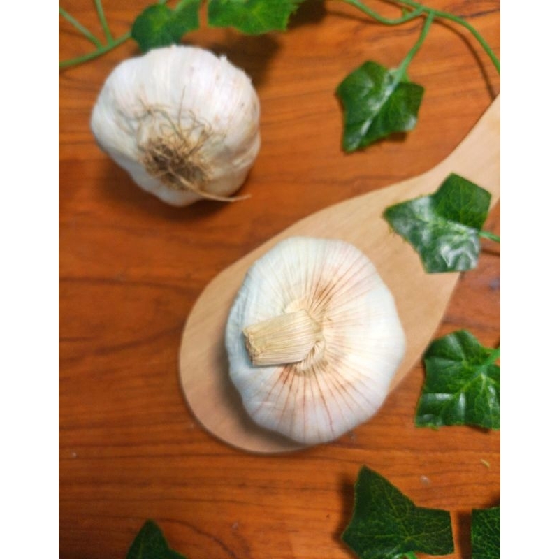 

Bawang putih bonggol 100g, 250 g