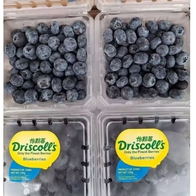 

BLUEBERRY DRISCOLL'S PACK