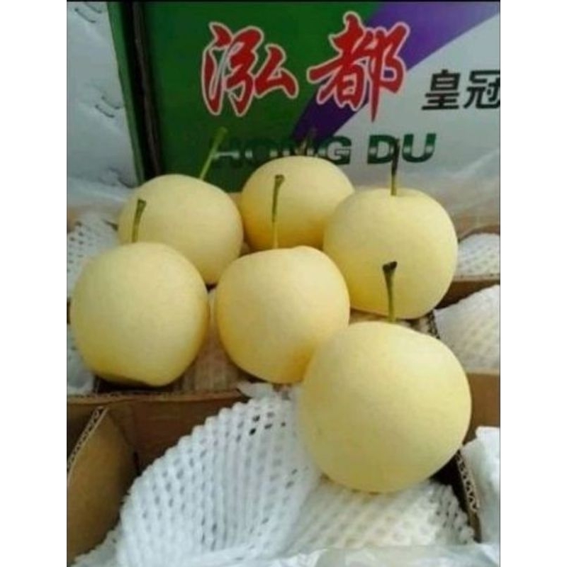 

PEAR CENTURY MANIS FRESH