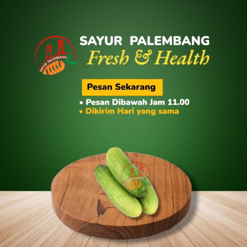 

Timun Kecil / Baby Timun / Timun Jakarta 90Gram-100Gram - Sayur Palembang