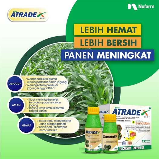 HERBISIDA JAGUNG ATRADEX - 1 liter (Bonus Kaos)