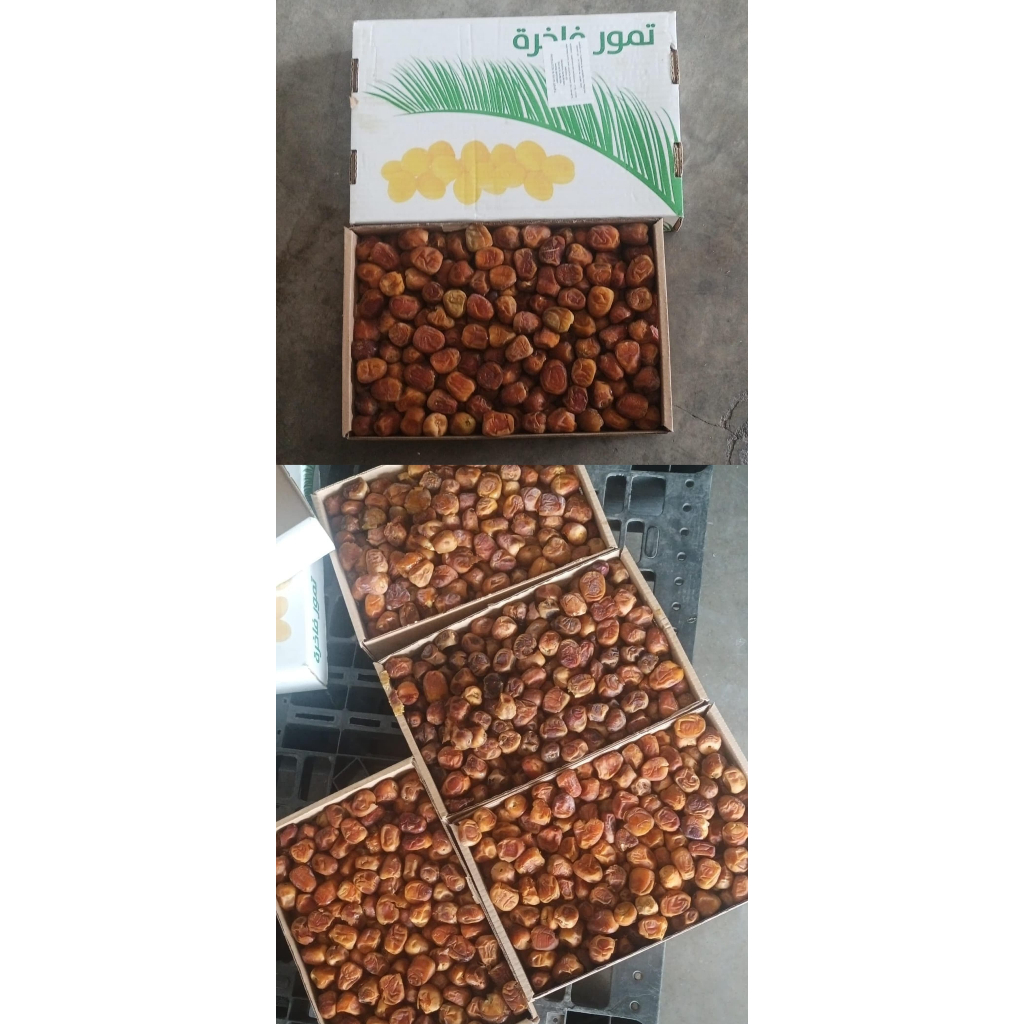 

Kurma Sukari Super Alqosem 3kg (Dus Random) Istimewa Super | Kurma Sukari Al Qasim Sukari 3kg (Dus Random) Kurma Sukari Alqosem 3kg Sukari Al qosem 3kg