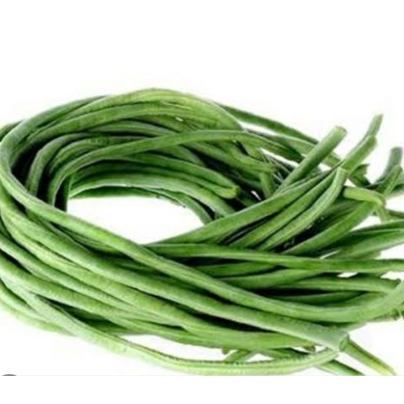 

Kacang Pajang Segar