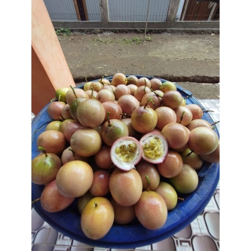 

buah markisa segar alami