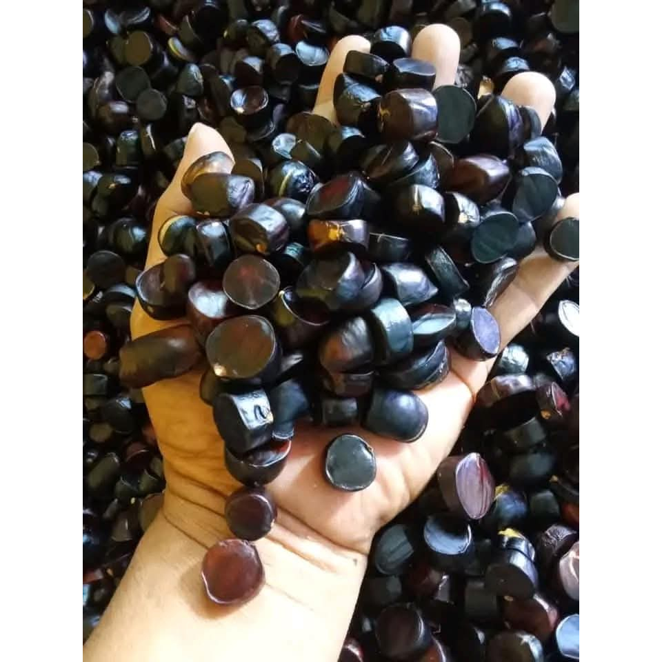 

500gr KABAU TUA / JOLANG JALING ASLI SUMATERA KUALITAS SUPER