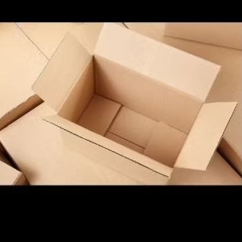 

Kardus Packing Tambahan Untuk Buket