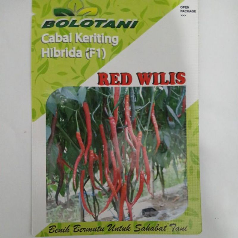 

Benih Cabai Keriting Hibrida (F1) || RED WILIS