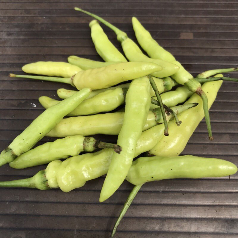 

Cabe Rawit Hijau | Cabe rawit putih | Lombok ijo | Rawit Ijo | Lombok putih | Rawit Putih