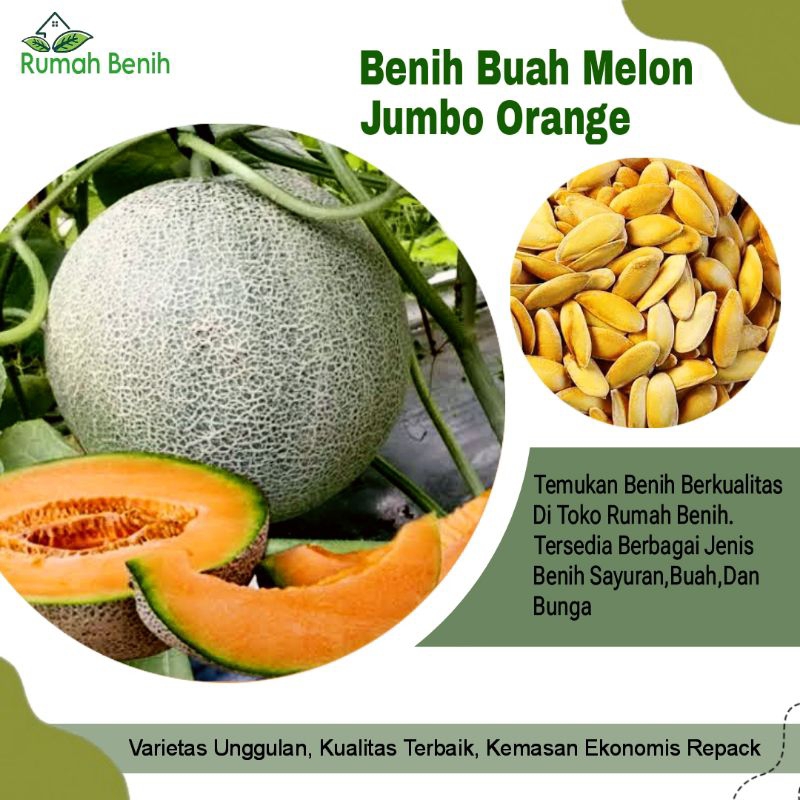 Benih Buah Melon Jumbo Orange Super F1 / Bibit Benih Melon Orange Super Besar / Biji Benih Buah Melo