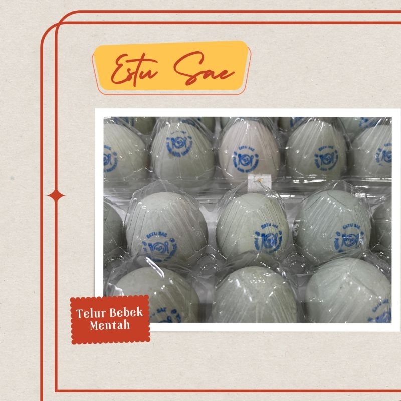 

telor telur bebek mentah 1 pack isi 10
