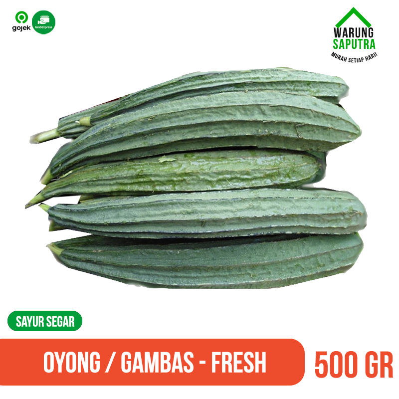 

Oyong Sayur / Gambas Segar 500 g