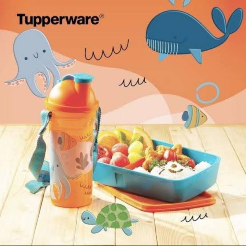 Kids Lunch Set Tupperware - Orange