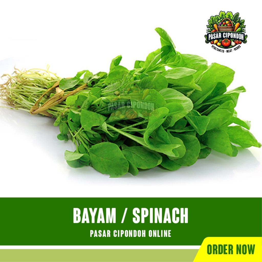 

Sayur Bayam Hijau Sayuran Daun Bayem Segar 1 Ikat / Spinach - Pasar Cipondoh Tangerang