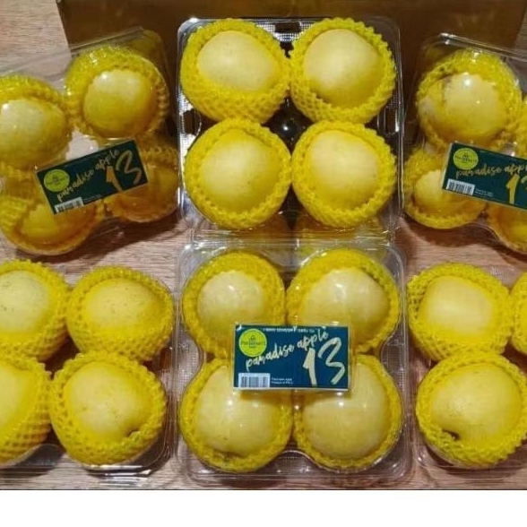 

Apel Paradise Wangshan Isi 4pcs /pack
