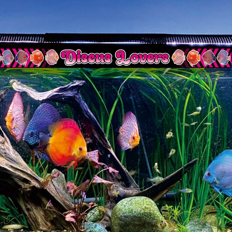 STIKER AQUARIUM CUSTOM KATA KATA BISA REQUEST SESUAI KEINGINAN (NB = DESIGN D1-D13)