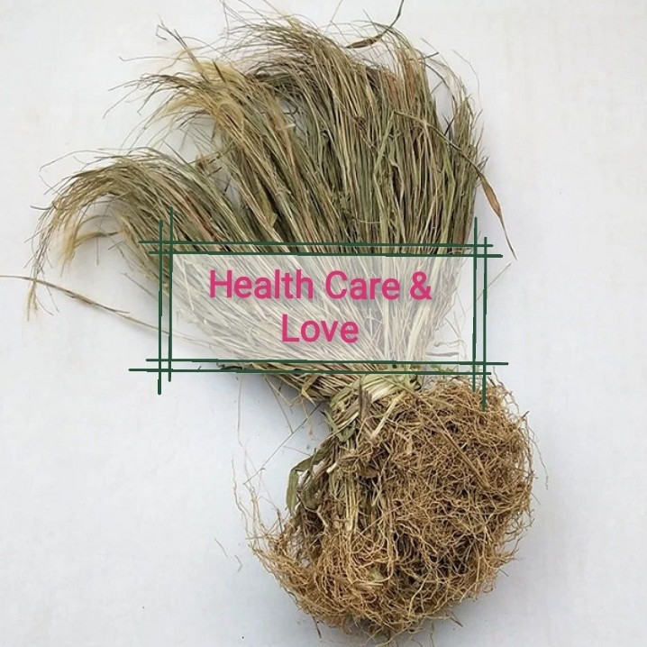 

Bi Zi Cao 必仔草 Golden Hair Grass Buntal Fibre 50 Gr