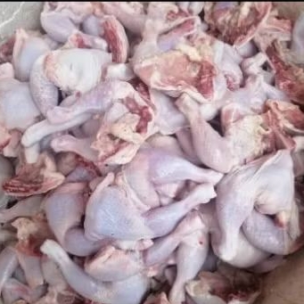 

ayam karkas broiler 600 gram belah ptong 4 murah banget 10 ekor ayam