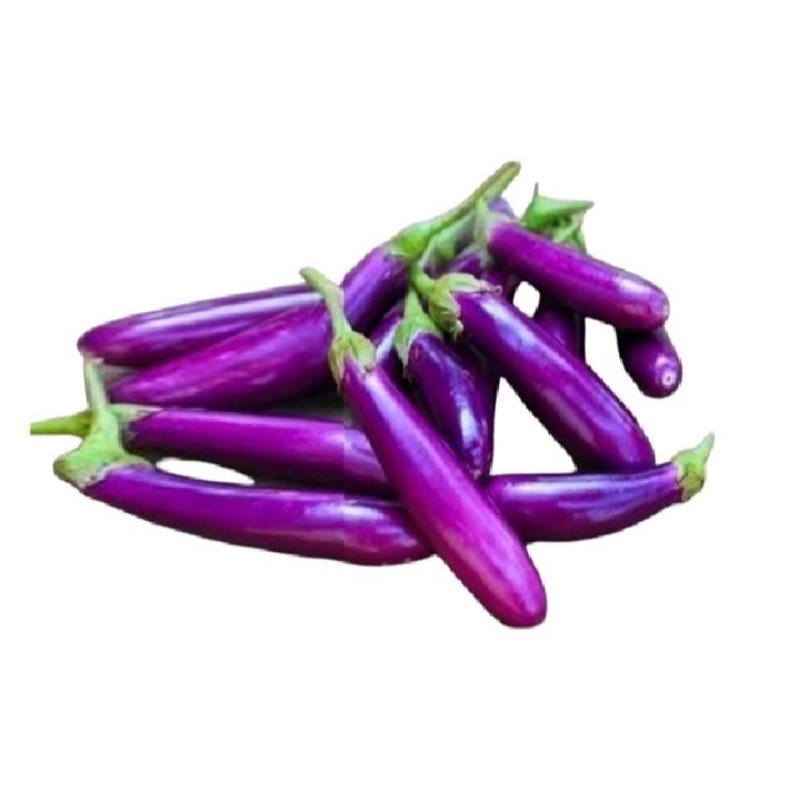 

Sayur Terong Ungu 500 gram