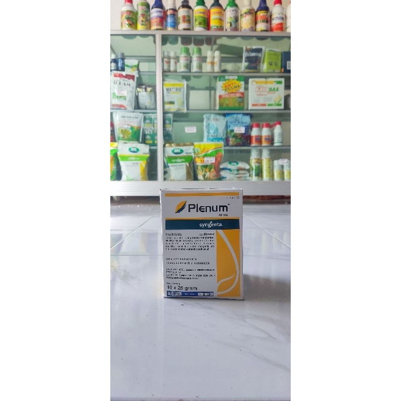 plenum 25 gram