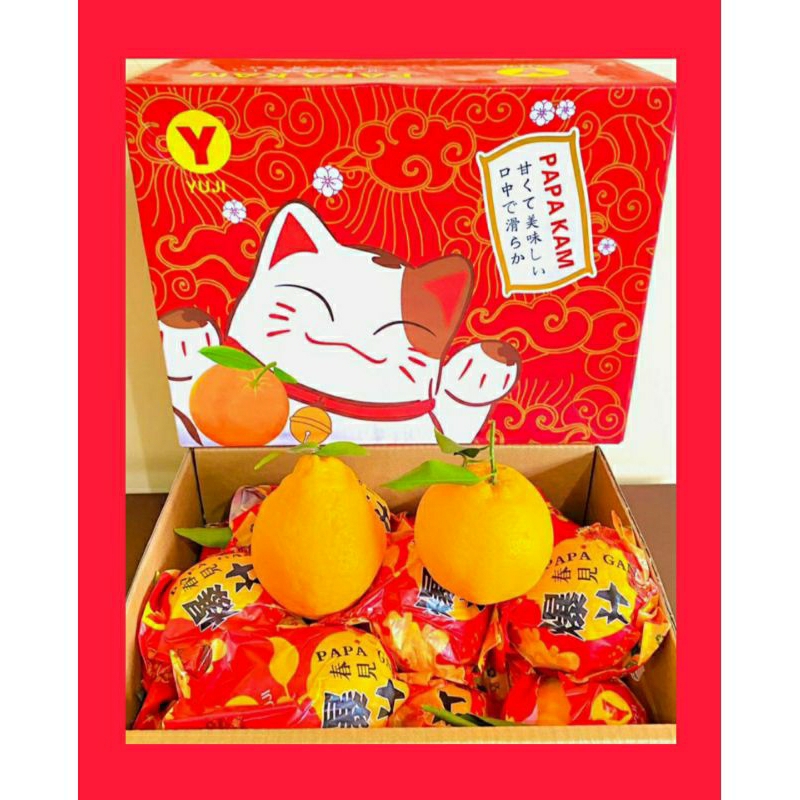 

buah Jeruk Papagan,jeruk dekopon, Gift Box Imlek