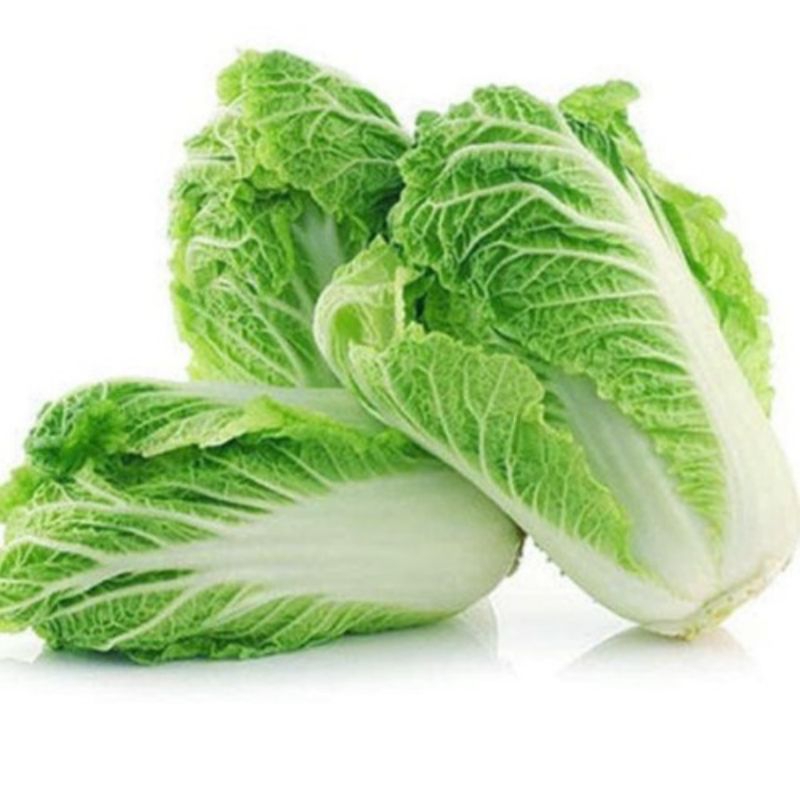 

sawi putih,perkilo,RP.15.00