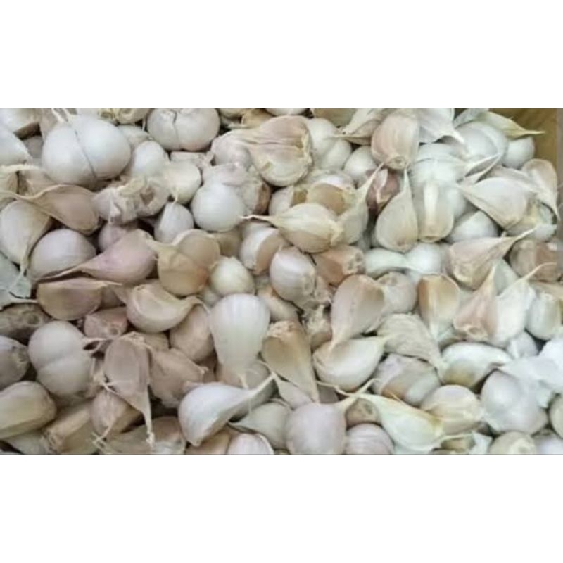 

bawang putih
