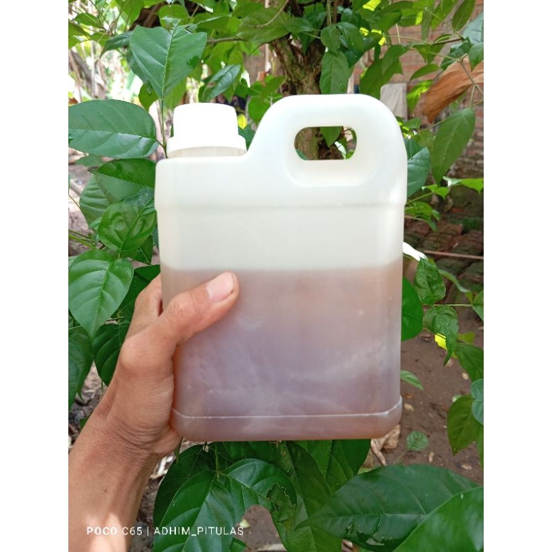 

Madu Randu Super 1 kilo