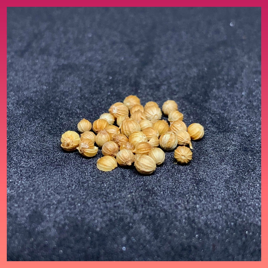 

Ketumbar Butir 500 gr 250 gr 100 gr - Bawang In