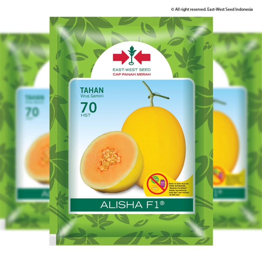 Benih Cap Panah Merah - 100 Butir Benih Melon Golden ALISHA F1