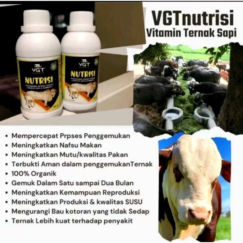 Vitamin Nutrisi Sapi 250 ml - VGT Sapi dan Kambing - Domba - VGT Nutrisi - VGT