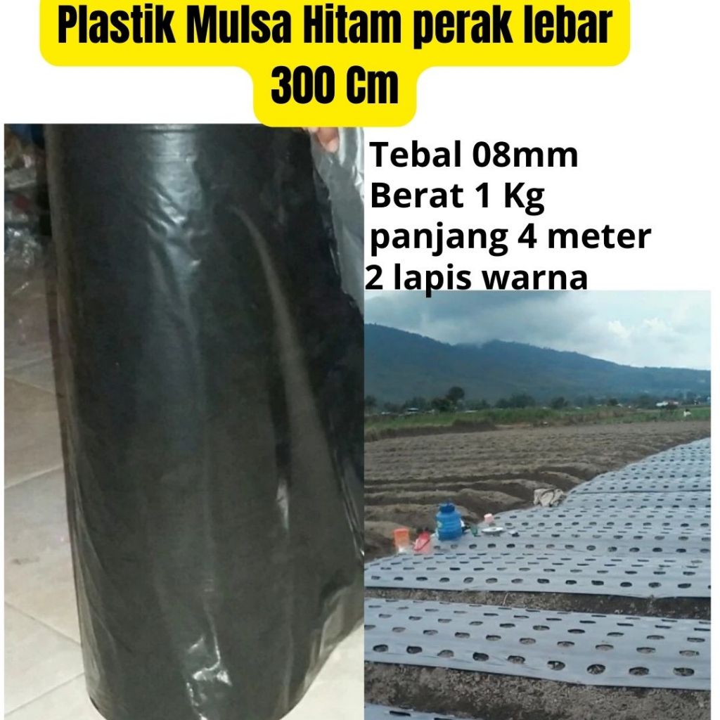 Plastik Mulsa Hitam Perak Lebar 300cm Tebal 08 mm Perkg | Plastik Mulsa Lebar 120cm 17kg Hitam Perak
