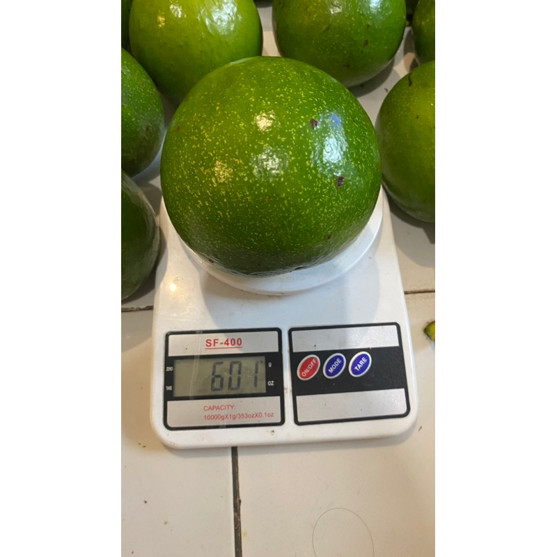 

Alpukat Mentega Miki Super 1 kg