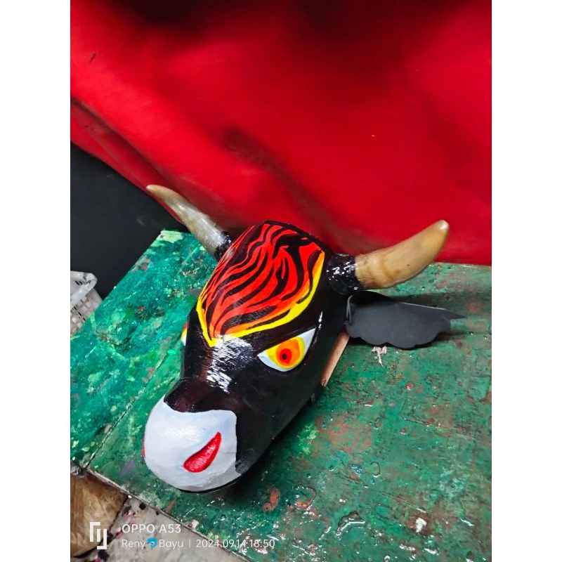 Bantengan Banteng Tanduk Asli