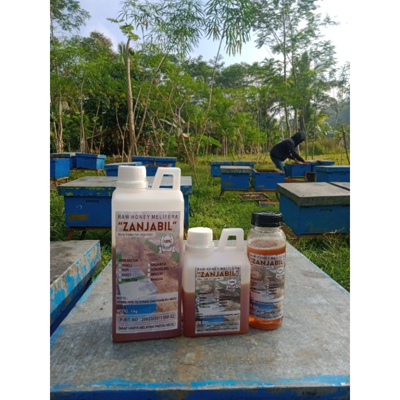 

Madu Murni Zanjabil 100% asli