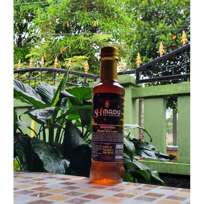 

Madu Hutan Sialang 500 Gr