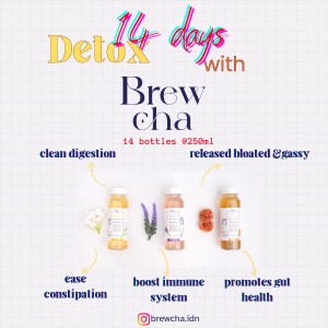 

Brew Cha Teh Kombucha Paket detox 14 hari kombucha organik-Brew Cha Lavender - Jasmine - Marigold