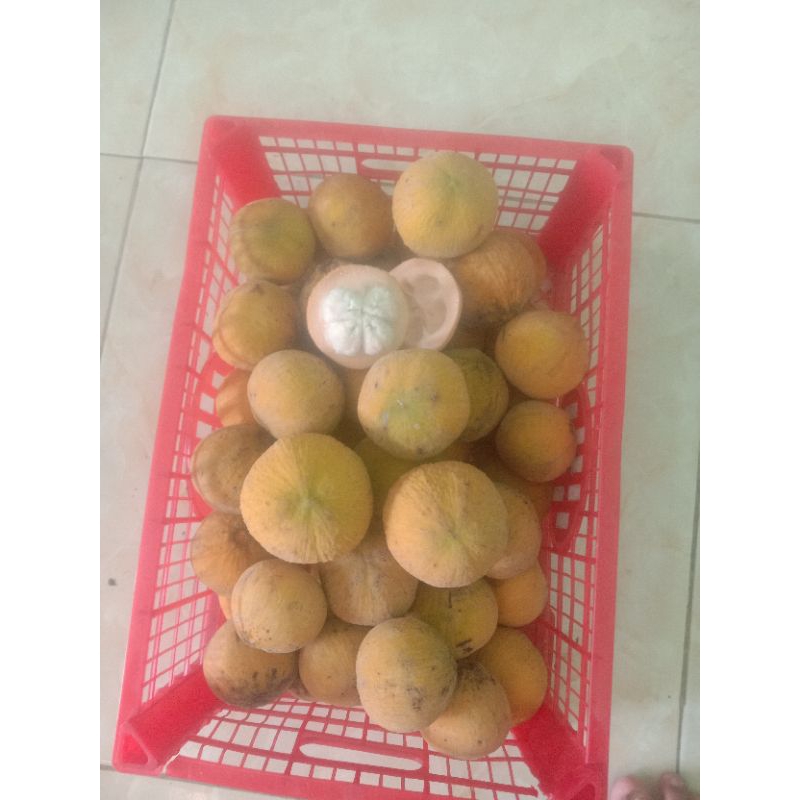 

kecapi madu manis grosir 10kg-50kg murah