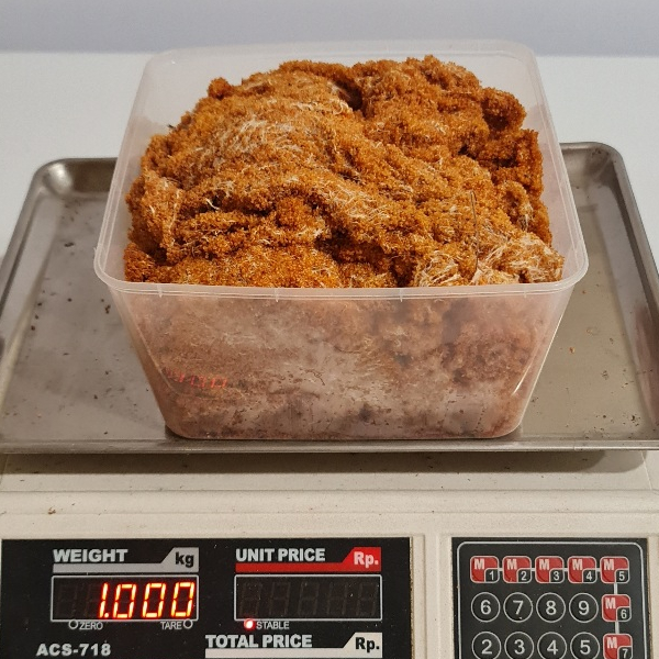 

Telur Ikan Terbang Kering 1000gr