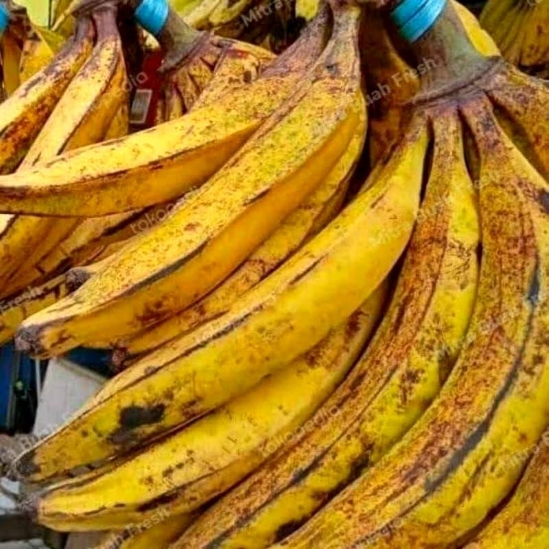 

Pisang Tanduk Press Harga Per 1 Buah Pisang Galek Superr