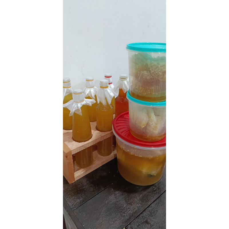 

Madu asli sumatera dari mandailing natal