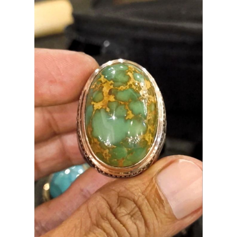 Pirus Persia Gradasi Hijau